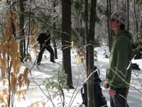 Quaker Hill Farm Disc Golf